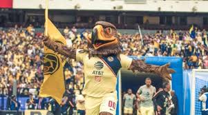 Club de fútbol monterrey, often known simply as monterrey or their nickname rayados, is a mexican professional football club based in monterrey, nuevo león which currently plays in liga mx. Las Mascotas De Los Equipos De Primera Division De La Liga Mexicana