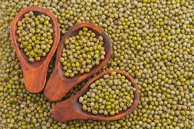 Image result for Vigna radiata