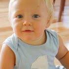 Vertical Garden using a fabric door shoe rack