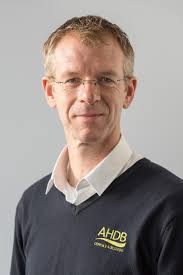 New oilseed rape varieties added to AHDB's Recommended List