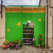 Floristería Viveros Antonio