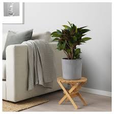 Furniture Home Furnishings Find Your Inspiration Artificial Potted Plants Potted Plants Concrete Plant Pots