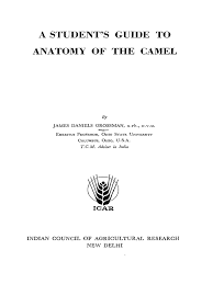 Why does a camel have nostrils which can close? Anatomy Of The Camel Vertebra Skull