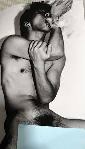 RYAN CHAN ライアンチャン レスリーキー LESLIE KEE アート写真集 メンズヌード