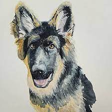 We have added photos of the dog pet portrait painting in progress, the final stage and a photo that shane and his family took when the painting was displayed on their wall. Fabolynart Custom Dog Portrait Watercolor Pet Portrait Custom Dog Watercolor Art Custom Pet Painting Commission Dog Portrait Malinois Gift Art Collectibles Painting Lifepharmafze Com