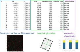 Once the nuclei are within range of the. Tum Particletyper A Detection And Quantification Tool For Automated Analysis Of Microplastic Particles And Fibers