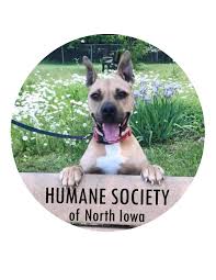 You'd like to adopt a pet from the iowa county humane society! Pets For Adoption At Humane Society Of North Iowa In Mason City Ia Petfinder