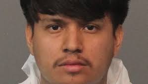 Nevada domestic violence shooting suspect's bail set at $1M