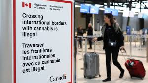 We did not find results for: If You Re Going To Canada To Buy Weed Here S What You Need To Know The New York Times