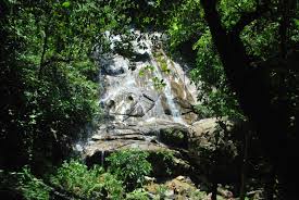 Air terjun ini terletak tidak jauh dari kampung kemensah. Hiking Gardening Air Terjun Sofia Jane