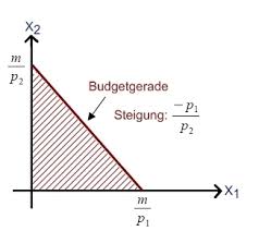 Die #aufhebung jeglicher #budgetrestriktion für den „guten zweck verbunden mit dem unbedingten willen private initiative zu. Die Budgetgerade Mikrookonomie Wiwiweb De