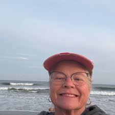 How to get rid of an unusual amount of house flies?