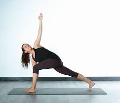 Take a look at these instructional dvds. Blue Lizard Yoga