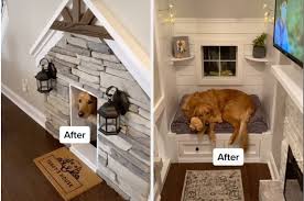 Maybe you would like to learn more about one of these? Diy Luxury Dog House