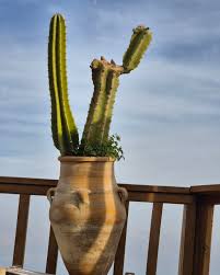 Adi Rubin 🎗 (@adidarubin) • Instagram photos and videos