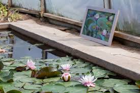 We did not find results for: Guna Ruksane S Story About Water Lilies Garden Pearls