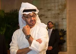 ابن زايد يتفاخر بعدائه للأمير السعودي الراحل نايف بن عبد العزيز وإقناعه ابن سلمان بعزل نجله وطن
