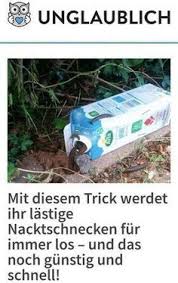 Diese Mischung Ist Nicht Giftig Und Zieht Nur Die Schnecken An Garten Schnecken Im Garten Nacktschnecken