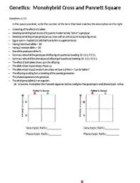 What are the phenotypes (descriptions) of rabbits that have the following genotypes? Genetics Test Cross Worksheets Teaching Resources Tpt