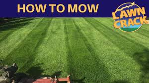 When in circulation, the spike proteins bind to the receptors that are on our platelets, and the cells that line our. How To Mow A Lawn Professional Lawn Mowing Tutorial How To Mow Edge Trim Blow Lawncrack Youtube