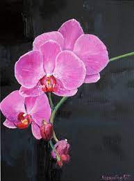 Pink Black Orchid Oil Painting Original Flower Painting Pink Etsy Flower Painting Orchids Painting Floral Art