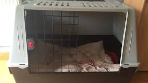 Mit einer decke oder einem körbchen kann es sich ihr hund bequem machen. Hundekafig Test 2021 Unsere Top Empfehlungen Im Vergleich