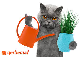 L Utilisation De L Urine Au Jardin Peut Elle Etre Dangereuse L Urine Est Un Bon Engrais Azote C E Plantes Compagnes Orchidee Phalaenopsis Plantes Couvre Sol