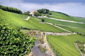 In rothenburg ob der tauber and würzburg: Weingut Burgerspital Wurzburg Franken