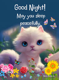 Good Night! May you sleep peacefully. Myra MyraElswick Elswick