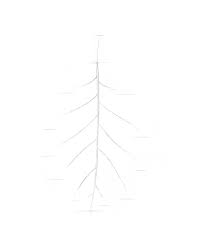 Follow along with our easy step by step drawing lessons. Xuulmwlfzreegm
