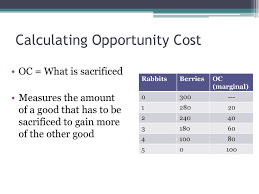 Many times on an exam you will see questions that require you to when answering questions about opportunity cost on a ppc graph, just look to the axes. Scarcity Opportunity Cost And The Ppc Ppt Download