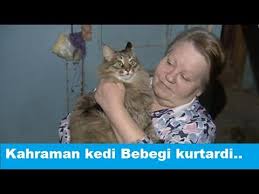 Bebegi Donmaktan Kurtaran Kahraman Kedi Marcha Youtube