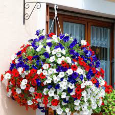 Growing strawberries in hanging baskets means they aren't attacked by slugs or snails. Pin By Ramazan Rahmi Yigit On Hanging Baskets Hanging Flowers Petunia Flower Hanging Flower Baskets