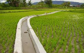 Hasil gambar untuk Teknik Irigasi  sawah Hemat Air