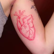 According to a 2019 tattoo trend report from pinterest, the search for anatomical heart tattoo ideas is on the rise, and so we had to check out this scientific design for ourselves. Anatomicalhearttattoo Hashtag On Twitter