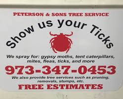 ︎ peterson services of rice lake, llc. Peterson And Sons Tree Service Posts Facebook