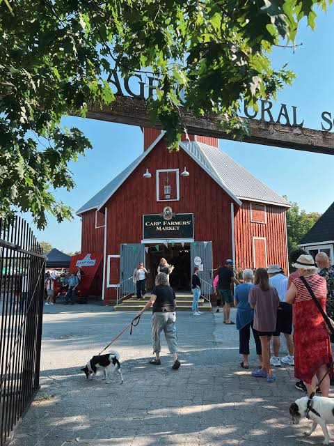 Local recreation destination