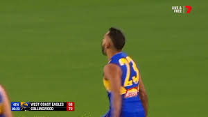 In 2008, retired victorian judge william gillard qc conducted an investigation into the sport and found the culture of the west coast eagles club was 'based on. West Coast Eagles Gifs Get The Best Gif On Giphy