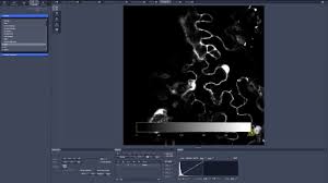 10 Zen Black Image Processing Graphics Elements Youtube