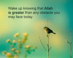 Birds Chirping In The Morning Islam If This Is Your First Thought In The Morning Nothing Can Knock You Down Throughout The Day Islamic Information Muslim Quotes Islam Muslim