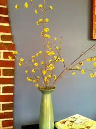 Cornus Mas For Spring Forcing Aquarius Flower Nature Inspired Decor Flower Farmer