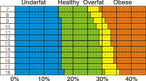 What Is Body Mass Index Nhs