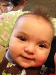 Instant Pot Prickly Pear Jelly Recipe