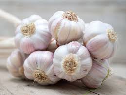 The garlic needs a hot, dry summer to allow the bulbs to mature. 7 Ways To Make Garlic Last Longer How To Store Garlic