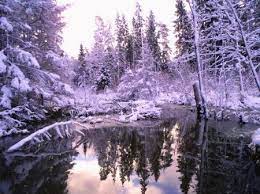 Winter Morning Desktop Nexus Wallpapers Free Winter Wallpaper Winter Wallpaper Winter Mornings