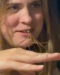 Life, this past week. (Swipe to the end 😭) // ☔️ 🧑‍🍳 🌱 🌴🌿🍃 🐛  🐾🪲🕷️🐍🪱🦗🐦‍⬛🪰🦇, #monsoon #india #blackandwhite @wildone_tillari  #shotoniphone