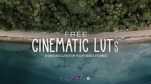 You can download it from adobe website some of the basic once on also you can check out third party marketplaces but most of them are not free and they might cost $8 or mybe less. Free Animated Wedding Title Preset Premiere Pro Motion Graphic Template Youtube