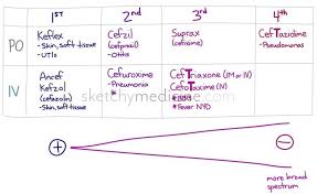 Cephalosporins Generations And Spectrum Of Activity