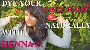 Apply the coloring kit's conditioner to your hair, paying attention to concentrate the product on the tips. Diy Natural Henna Hair Dye How To Dye Your Gray White Hair Naturally Youtube