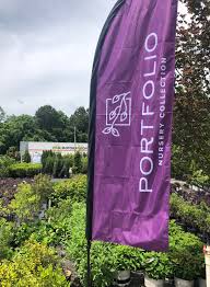 They can occupy a small space. Siteone Landscape Supply On Twitter Now Available The Portfolio Nursery Collection A Premium Line Of Plants And Products Available Exclusively At Siteone Check Out The Full Product Line And Current Offers At